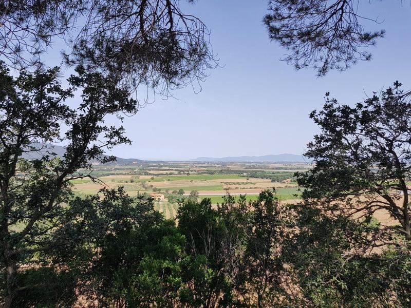 Poggio Alto Agrioturismo Villa Grosseto Dış mekan fotoğraf