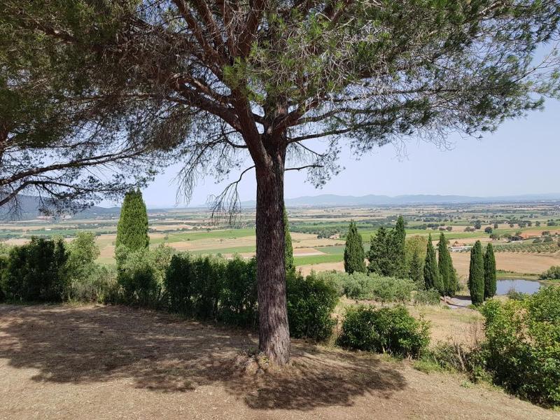 Poggio Alto Agrioturismo Villa Grosseto Dış mekan fotoğraf